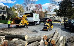 Best Stump Grinding and Removal  in Monticello, IN