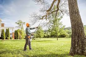 Best Tree Risk Assessment  in Monticello, IN