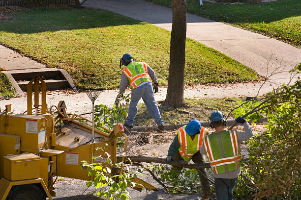 Seasonal Cleanup (Spring/Fall) in Monticello, IN