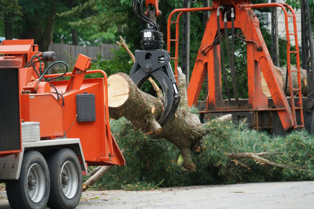 Best Seasonal Cleanup (Spring/Fall)  in Monticello, IN